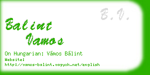balint vamos business card